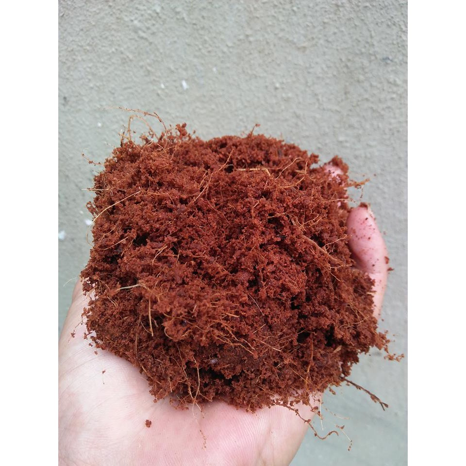 mùn dừa đã xử lý hết chát, gói 1.5kg