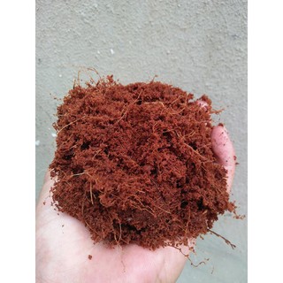 mùn dừa đã xử lý hết chát, gói 1.5kg