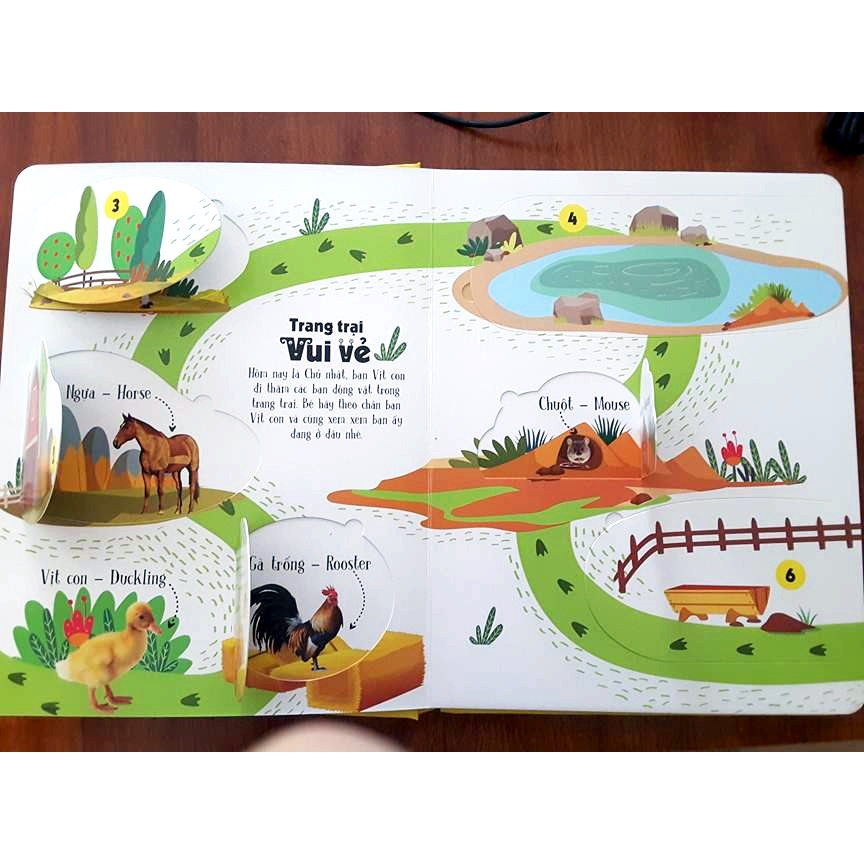 Sách - Lift The Flap - Lật Mở Khám Phá