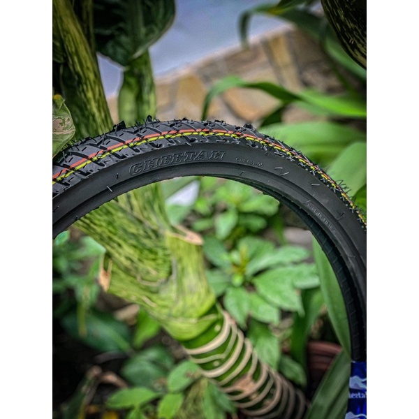 Vỏ Cheetah Gai City Pro size 50-60-70-80