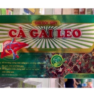 Giải độc gan Cà gai leo xạ đen