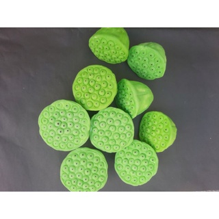 Gương sen (bát sen) giả các cỡ làm hoa handmade