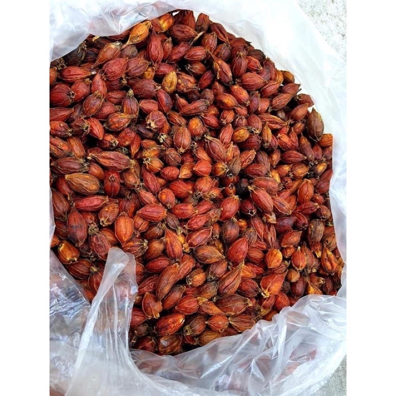 Quả dành dành tạo màu vàng nguyên trái gói 100g