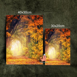 (Nhiều mẫu) Tranh treo tường Mùa Thu - Tranh treo không đóng đinh