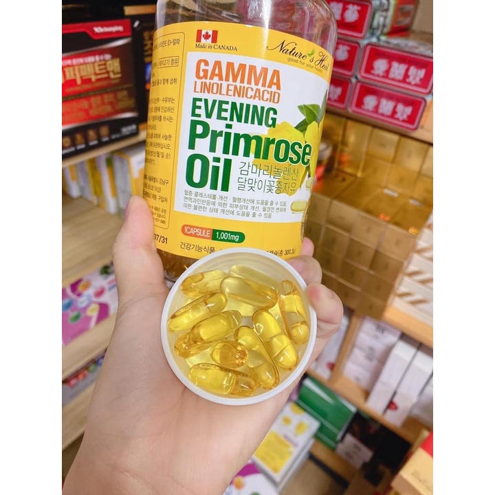 Viên uống Tinh Dầu Hoa Anh Thảo Hàn Quốc Gamma Linolenic Acid Evening Primrose Oil Hàng Cao Cấp Mẫu Mới 300 viên