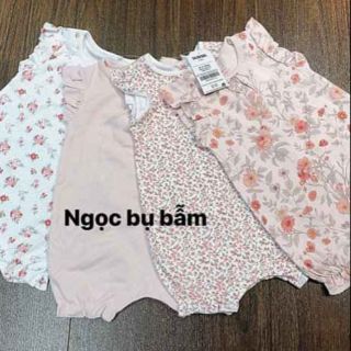 Pack 4 jum hoa