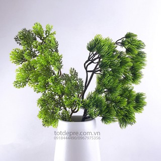 Cành cây tùng - Cây nhựa cao cấp