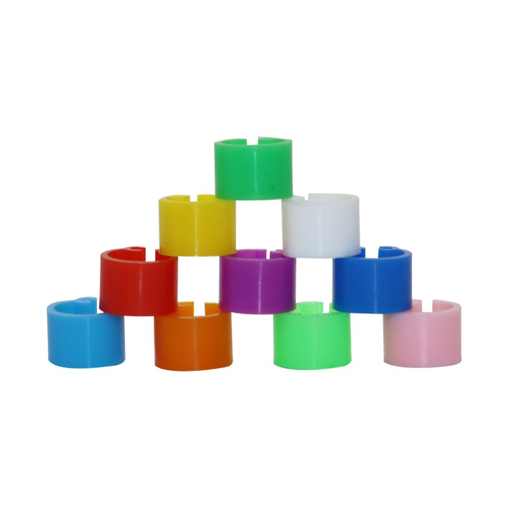 200 Vòng Nhẫn 6mm Cho Chim Bồ Câu