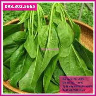 Hạt giống rau cải bó xôi chịu nhiệt F1 (rau chân vịt, rau bina)