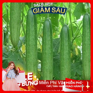 Hạt giống dưa chuột nếp ta - 10 hạt / gói