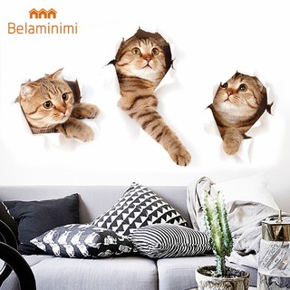 Decal dán tường hình mèo 3D dễ thương