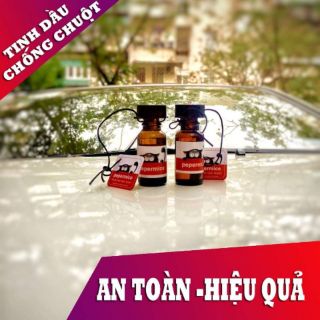 Tinh dầu đuổi chuột trong khoang xe ô tô