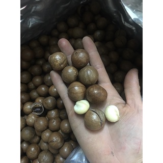 Quả Macca Úc 500g loại 1