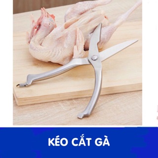 Kéo cắt gà inox 304 không han rỉ