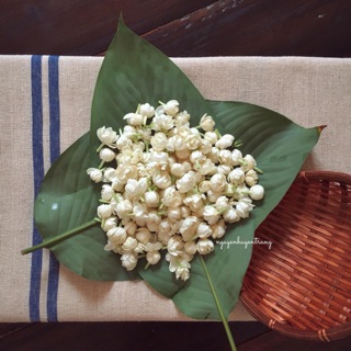 Quang Gánh Trang Trí Cắm Hoa