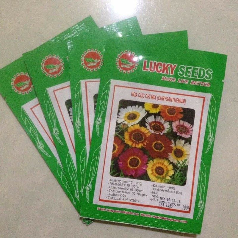 Hạt giống hoa cúc chi hỗn hợp nhiều màu gói 50 hạt