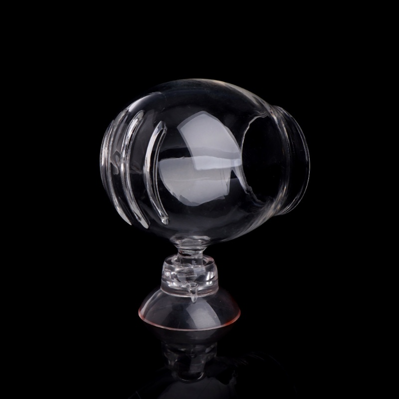 Cốc Thủy Tinh Đựng Thức Ăn Cho Tôm Cá