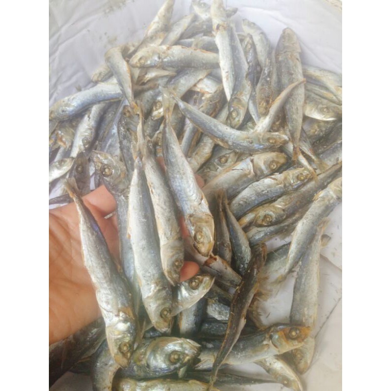 Cá nục hấp Loại Mặn sấy khô nhà làm thủ công size 500-1kg, dùng để kho rim mặn ngọt, cá không sử dụng chất bảo quản