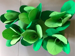 Vỉ rau cải canh