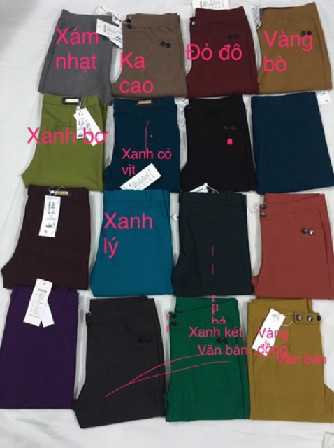 Quần cotton dài lưng thun