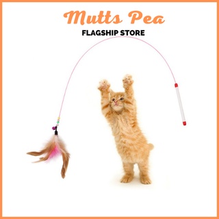 Đồ chơi cần câu dẻo cho mèo - Mutts Pea
