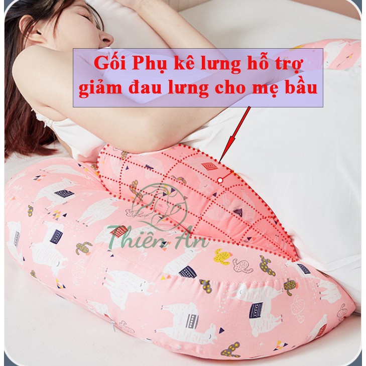Gối bầu cánh tiên Thiên An, gối bà bầu, nâng đỡ bụng, hỗ trợ giảm đau lưng, dễ ngủ
