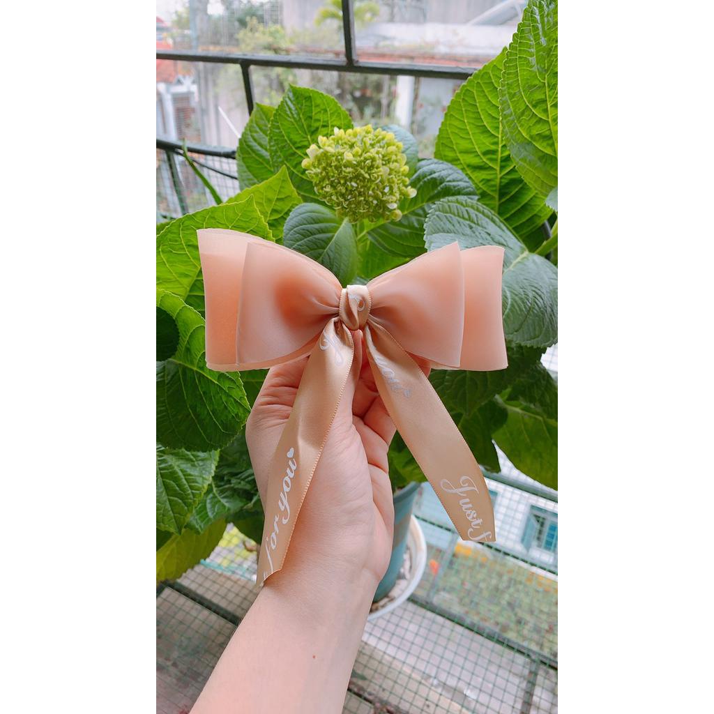 Kẹp Tóc Lưới Hình Nơ Lớn Xinh Xắn KT323