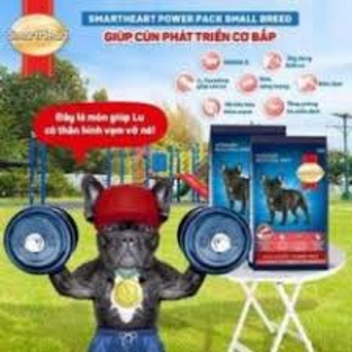 Thức ăn hạt cho Chó giống nhỏ Smartheart Power Pack Adult Small Breed Gói 3kg Bổ sung dinh dưỡng hoàn chỉnh Tiêu hóa tốt