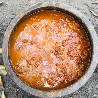 Cốt gừng nghệ hạt gấc (body)