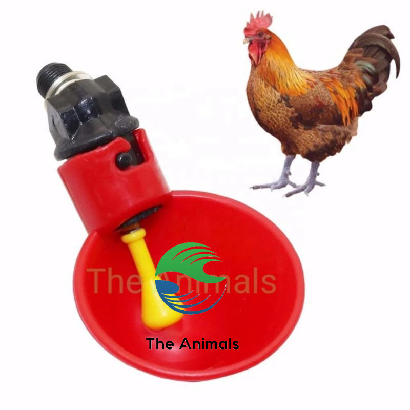 [COMBO 100 CÁI] Máng uống nước tự động cho gà - Cốc uống nước cho gà - Bát uống nước cho gà