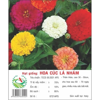 Hạt giống hoa cúc lá nhám - cúc zinia