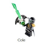 Nhân vật LEGO Ninjago thuộc set Đảo Nhện Độc -Tiger Widow Island 70604