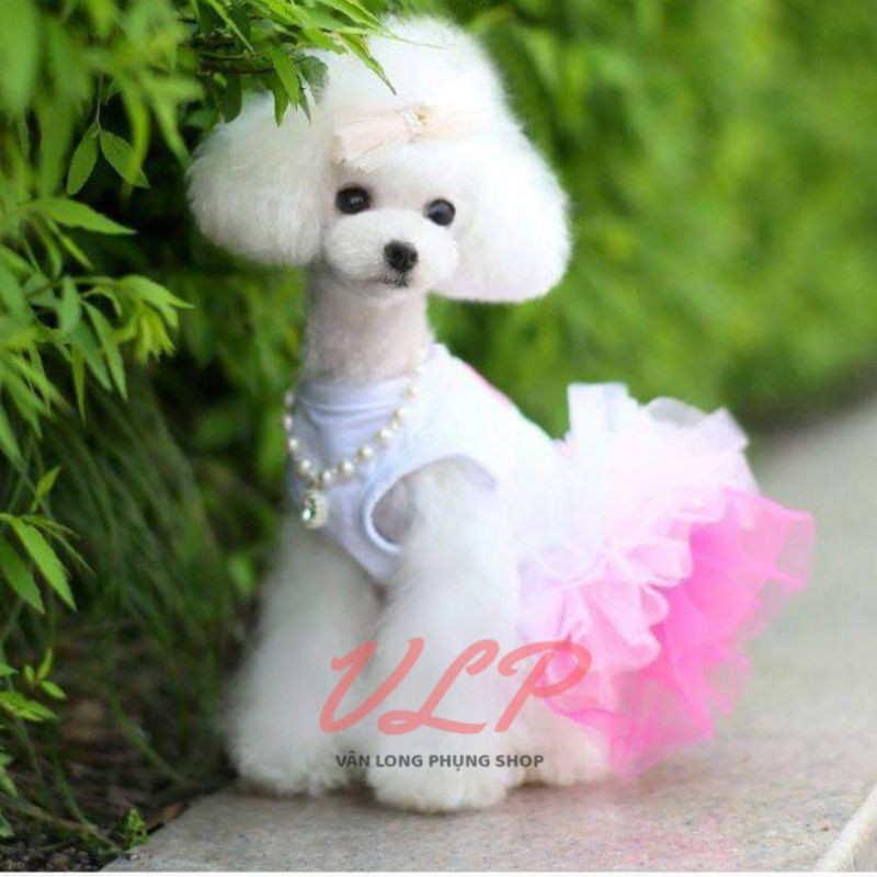 Váy xoè công chúa đính nơ dễ thương - trang phục thú cưng đáng yêu