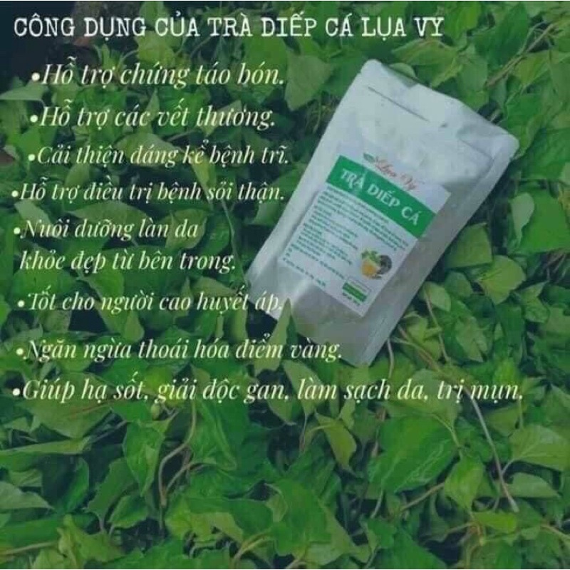 Trà diếp cá Lụa Vy