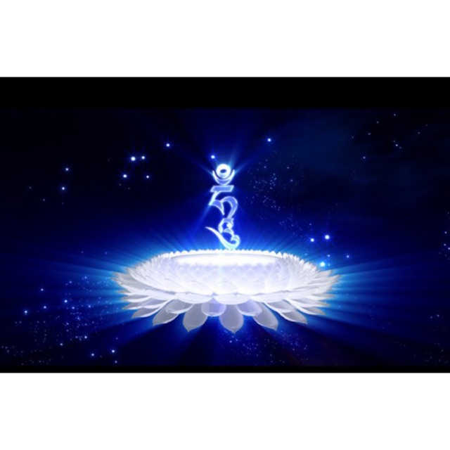 Nhập Khẩu Hàng Chính Hãng