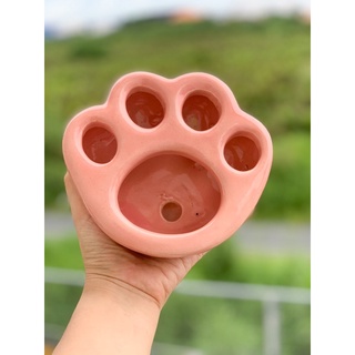 Chậu chân mèo trồng sen đá, sen mông