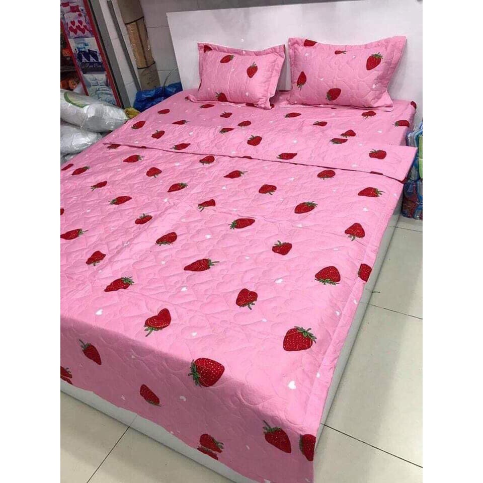 Bộ Chăn Ga Cotton Poly Dâu Hồng 5 Món