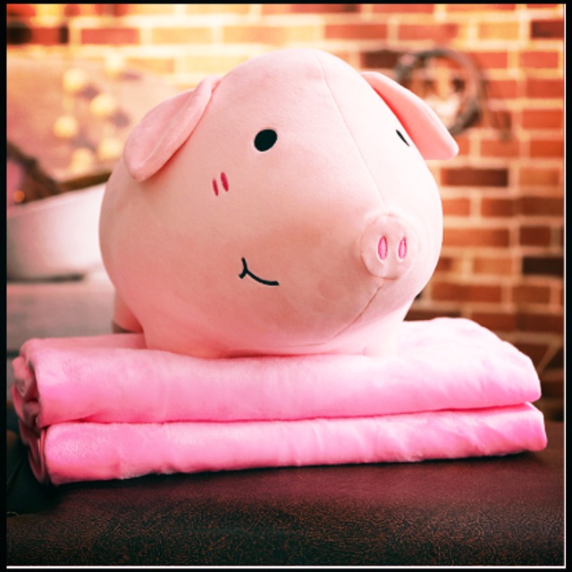 Chăn gối văn phòng ATNSHOPPING