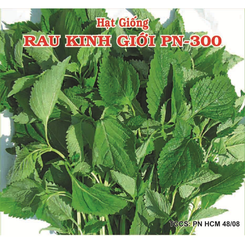 Hạt giống rau kinh giới PN-300 (2gr) cây phát triển mạnh, kháng bệnh tốt (Vườn Sài Gòn - Vuon Sai Gon)