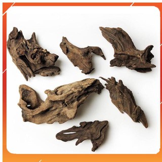 Cành gỗ lũa khô thô trang trí bể cá thủy sinh, bonsai, tiểu cảnh, ghép lan