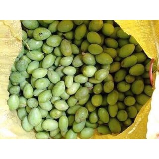 cá trắm kho niêu