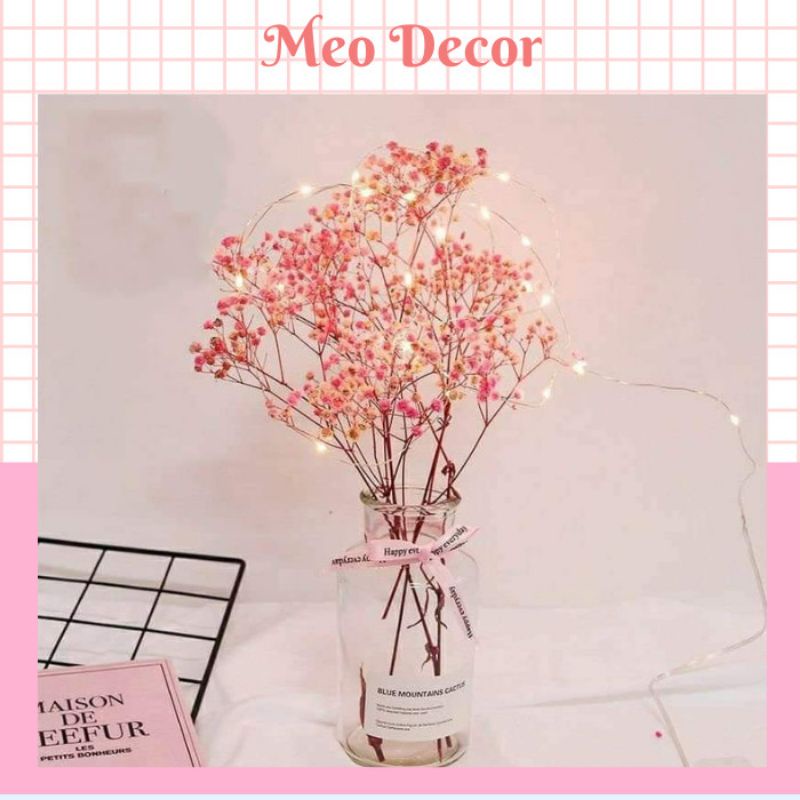 Giảm Giá ❤️Hoa Baby Bông To- Lọ Hoa Baby - Beecost