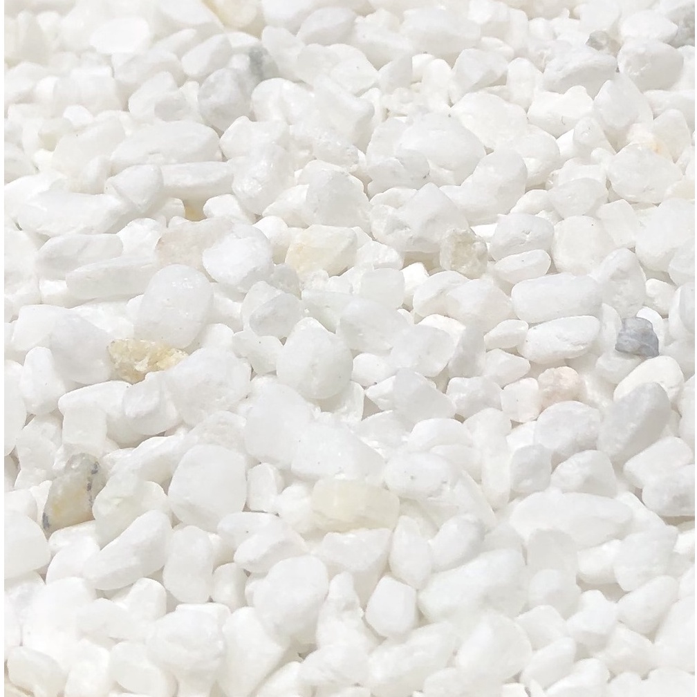 Đá Perlite - Đá Trân Châu (5dm3)