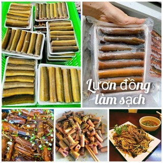 Lươn đồng làm sạch. Lươn làm sẵn.
