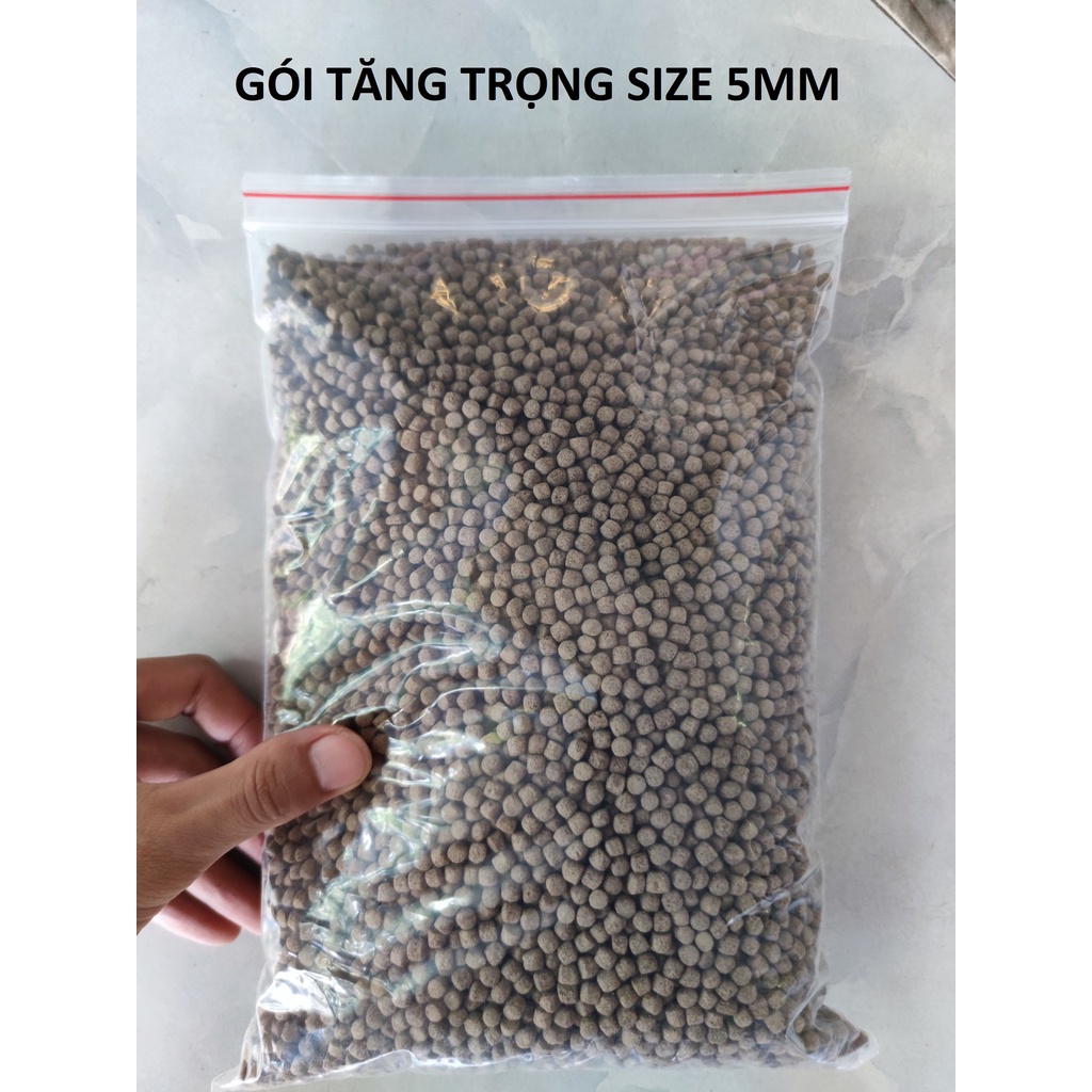 Cám Cá Koi King Feed Hàng Chất Lượng Cao, Tăng Trưởng Tốt