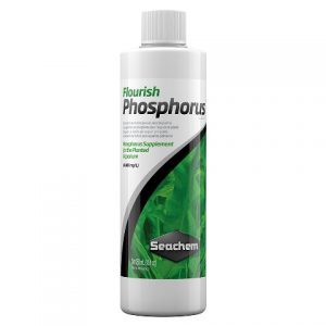 Seachem Phosphorus - Luca Aquarium