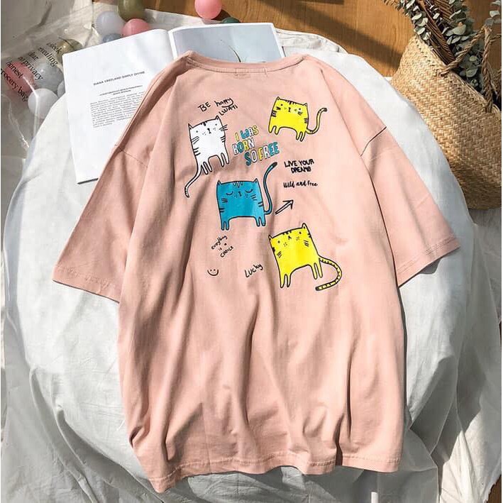 Áo thun unisex hình những chú mèo nghộ nghĩnh | BigBuy360 - bigbuy360.vn