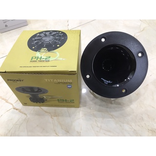 LOA DẪN CHUYÊN DỤNG PH2 TITANIM