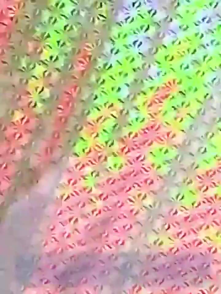 Rèm Che chắn nắng, chống tia uv tự cuộn gọn gàng cho ô tô, cửa kính | BigBuy360 - bigbuy360.vn