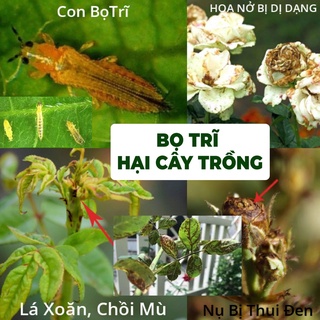 Chế Phẩm Sinh Học BIO-B cao cấp